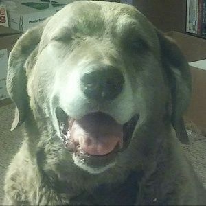 Meet your Posher, Cheryl